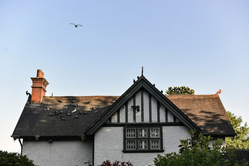 a white house with a black roof and a bird flying overhead